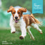Fromm Nutritionals Digestive Support Low Fat Chicken & Oatmeal Recipe, Dry Dog Food