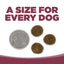 NutriSource® PureVita™ Salmon & Kale Entrée, Dry Dog Food