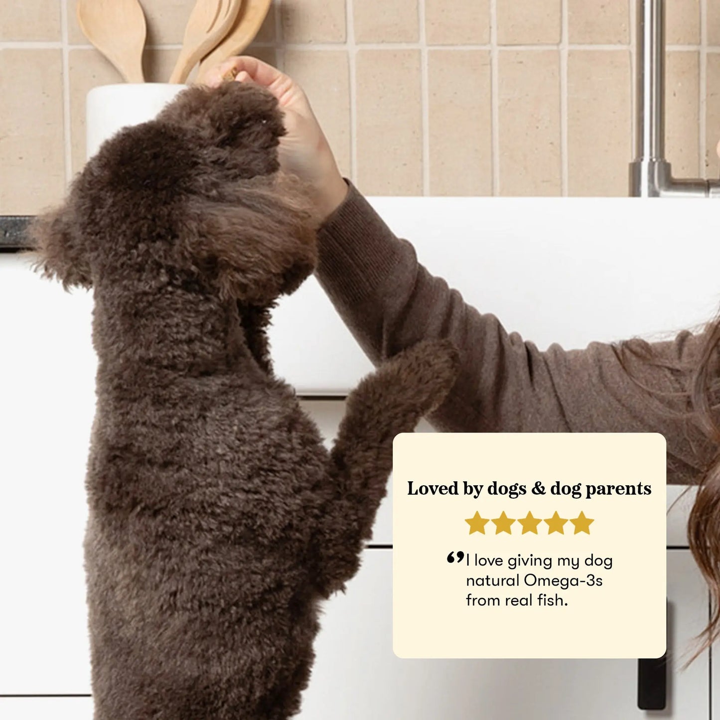 Plato Hundur's Crunch Jerky Fingers Fish Dog Treats