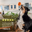 Woof Forager Flyball, Dog Toy