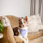 Dog Bandana Co. Lavender Dog Bandana Tie & Snap