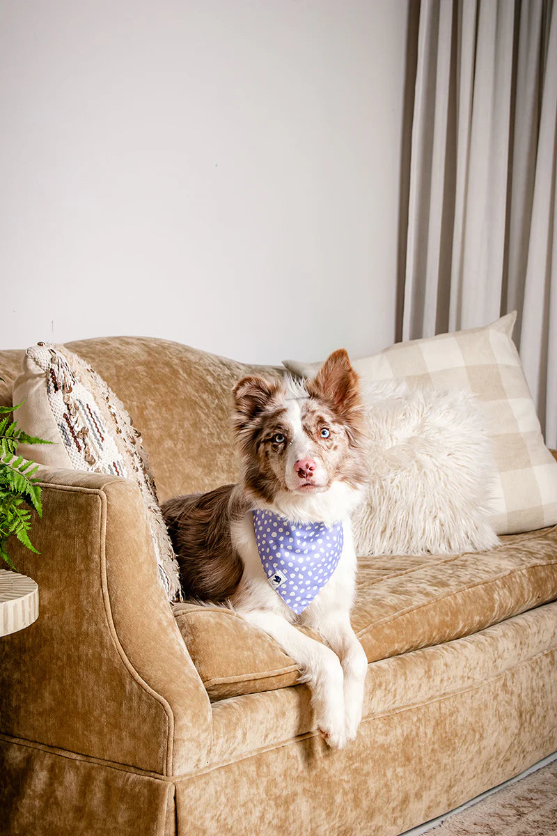 Dog Bandana Co. Lavender Dog Bandana Tie & Snap