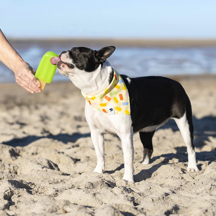 Dog Bandana Co. Popsicle Dog Bandana Tie & Snap