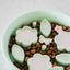 EmeryPets Flower + Leaf Slow Feeder Bowls (Green)