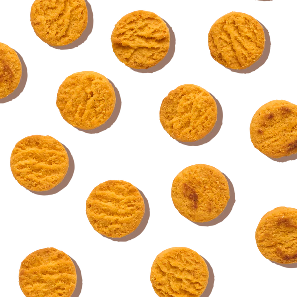 The Honest Kitchen Cheddar Biscuits, Biscuit Dog Treats, 3.5-oz Bag