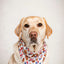 Dog Bandana Co. American Summer Dog Bandana Tie & Snap