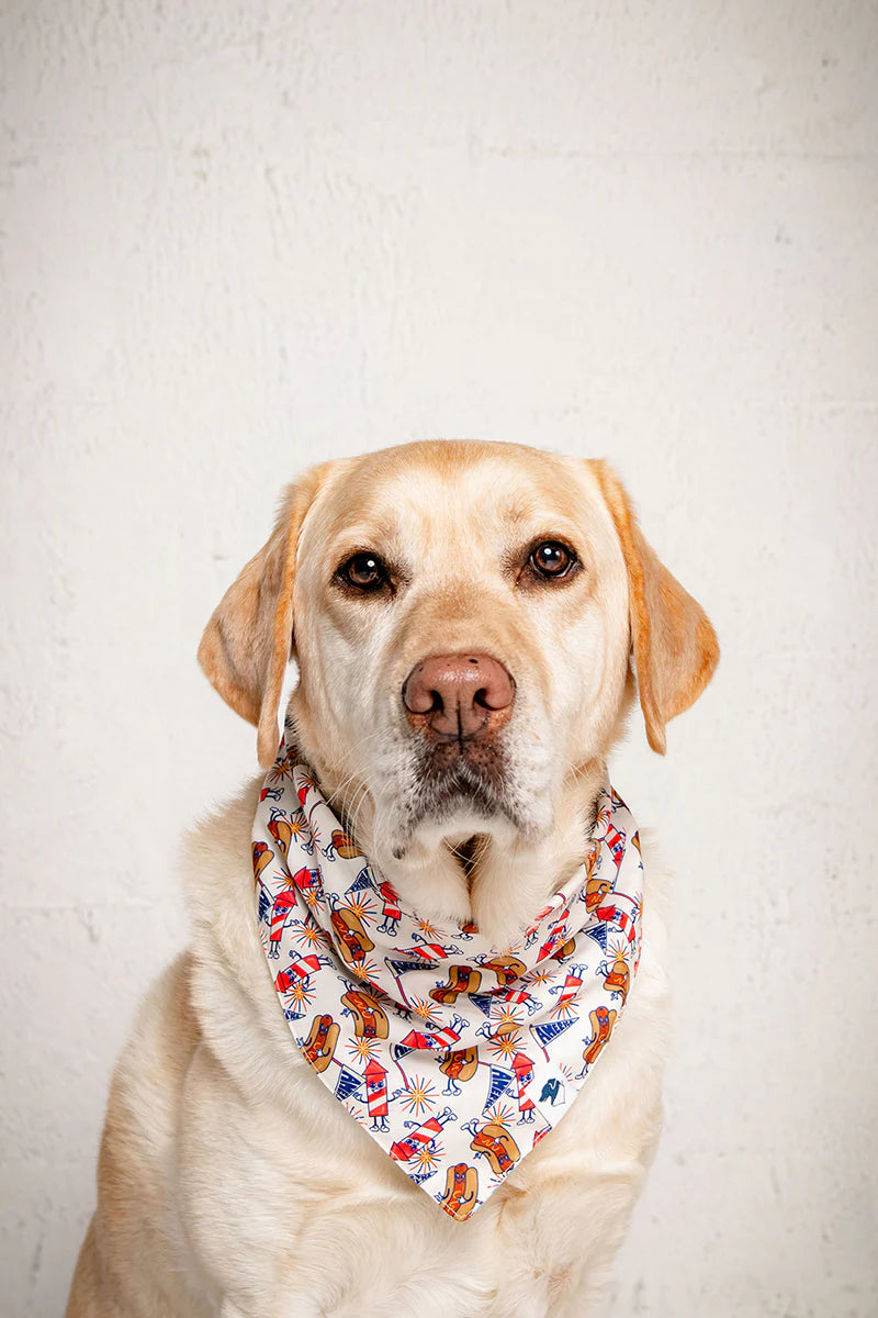 Dog Bandana Co. American Summer Dog Bandana Tie & Snap