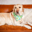 Dog Bandana Co. Mom's Best Friend Dog Bandana Tie & Snap