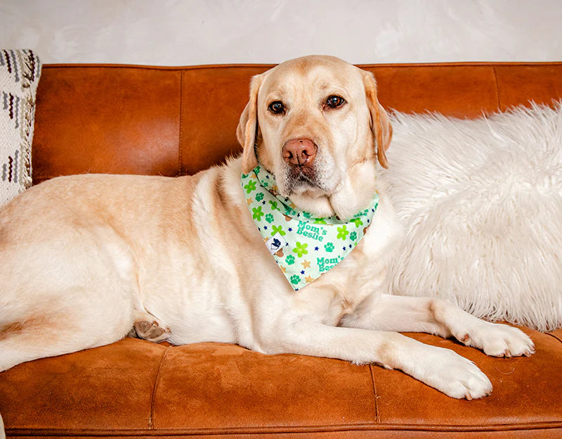 Dog Bandana Co. Mom's Best Friend Dog Bandana Tie & Snap