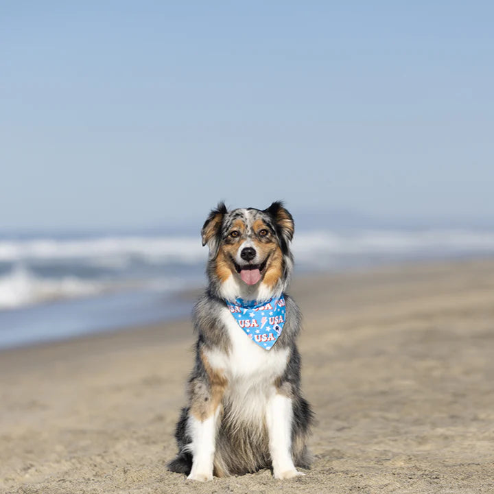 Dog Bandana Co. USA Dog Bandana, Tie & Snap