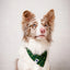 Dog Bandana Co. Tee Time Dog Bandana, Tie & Snap