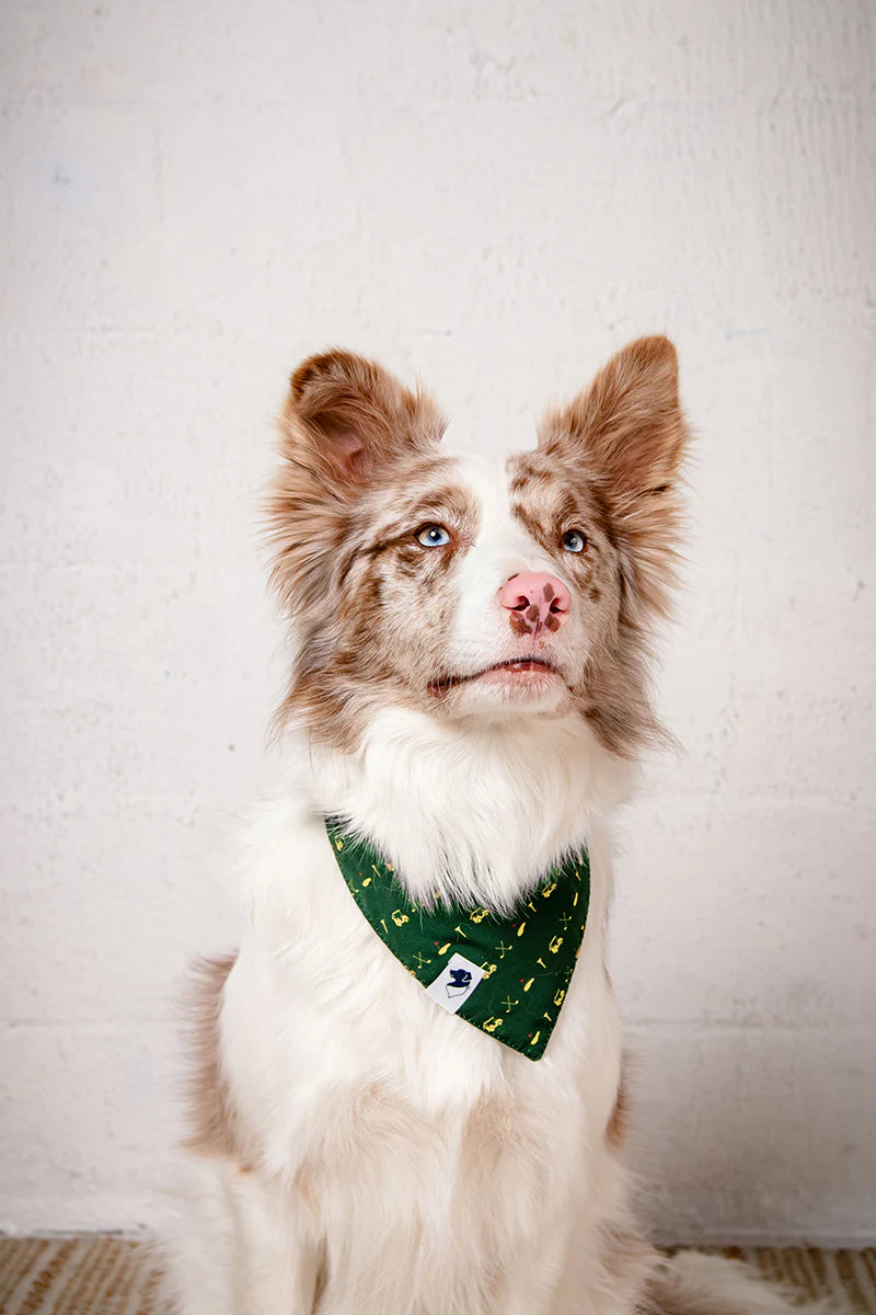 Dog Bandana Co. Tee Time Dog Bandana, Tie & Snap