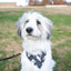 Dog Bandana Co. Blue Moon & Lightning Dog Bandana Tie & Snap