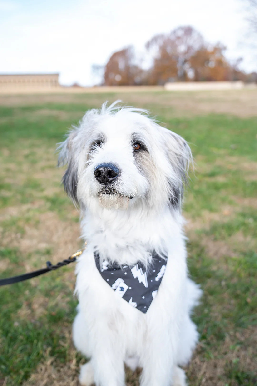 Dog Bandana Co. Blue Moon & Lightning Dog Bandana Tie & Snap
