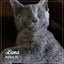 Fromm PurrSnickitty Chicken Delight Recipe, Dry Cat Food, 4-lb Bag