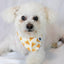 Dog Bandana Co. Pizza & Food Dog Bandana Tie & Snap