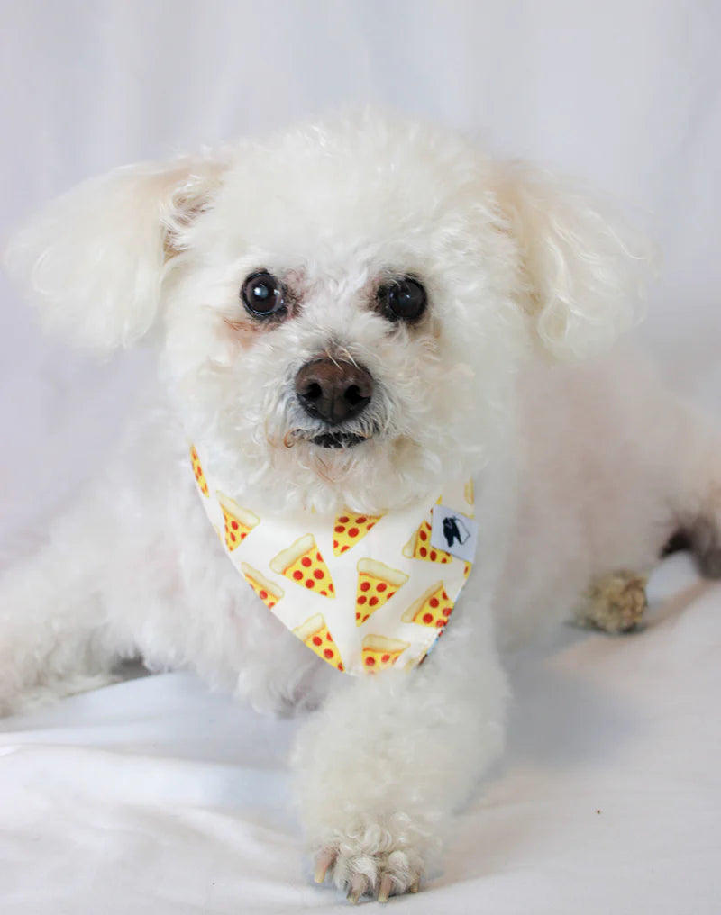 Dog Bandana Co. Pizza & Food Dog Bandana Tie & Snap