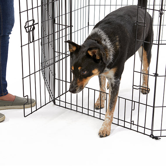 Midwest Contour Exercise Pen with Door