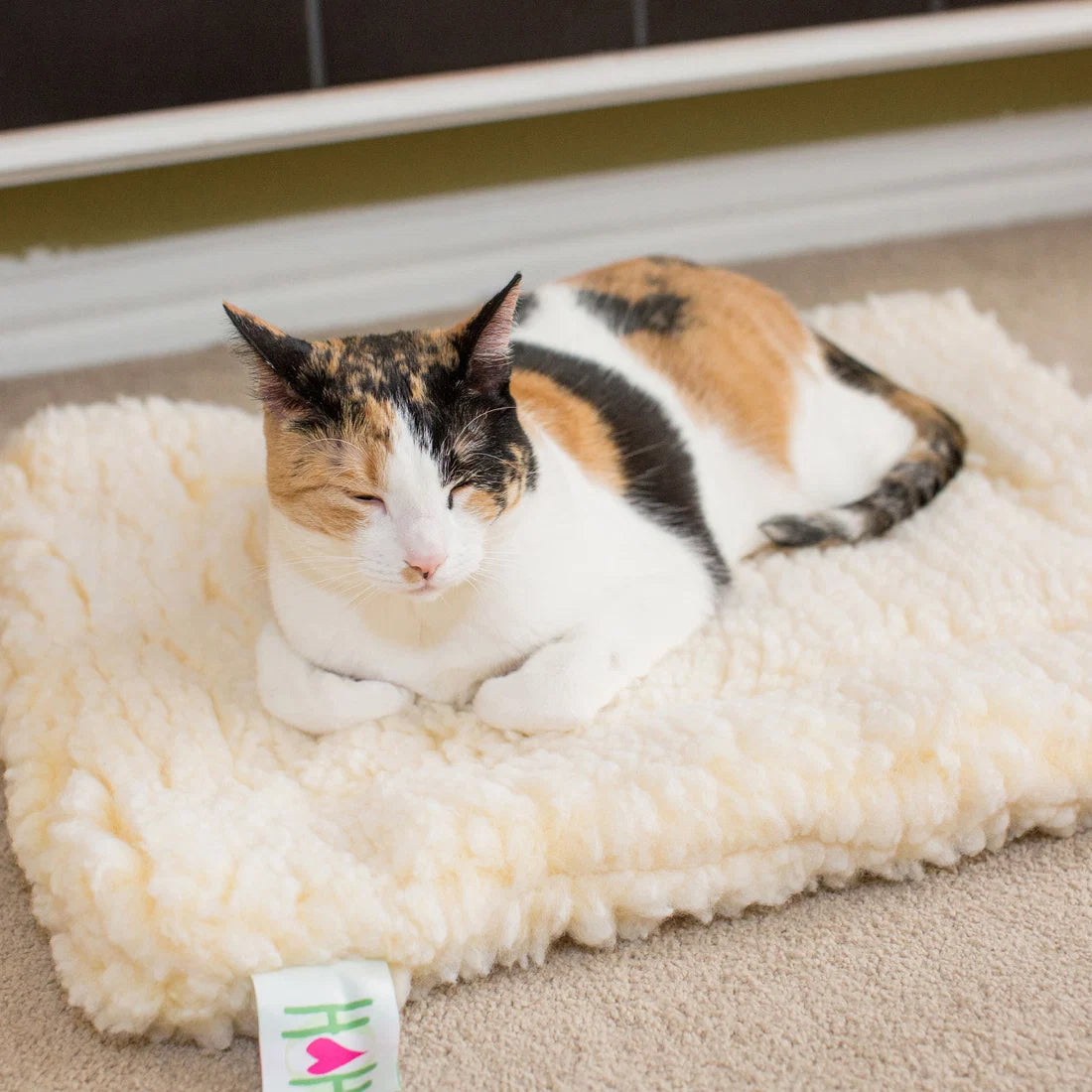 HuggleHounds HuggleFleece Mat Natural, Cat & Dog Bed