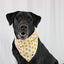 Dog Bandana Co. Pizza & Food Dog Bandana Tie & Snap