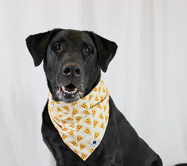 Dog Bandana Co. Pizza & Food Dog Bandana Tie & Snap