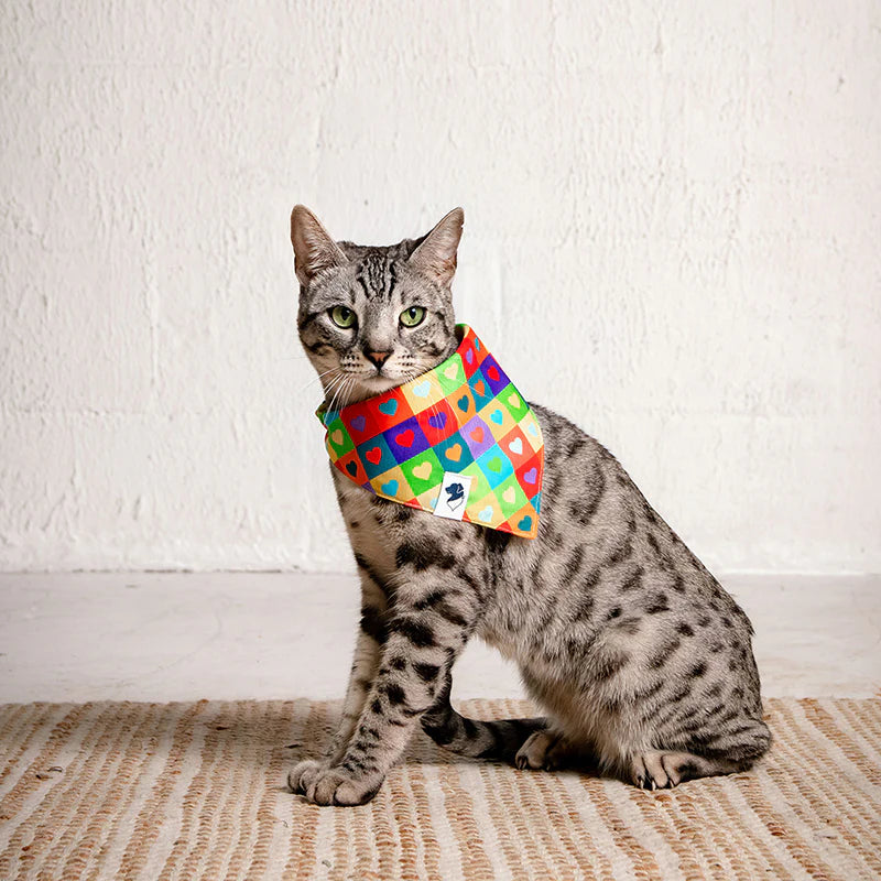 Dog Bandana Co. Love Wins Dog Bandana Tie & Snap