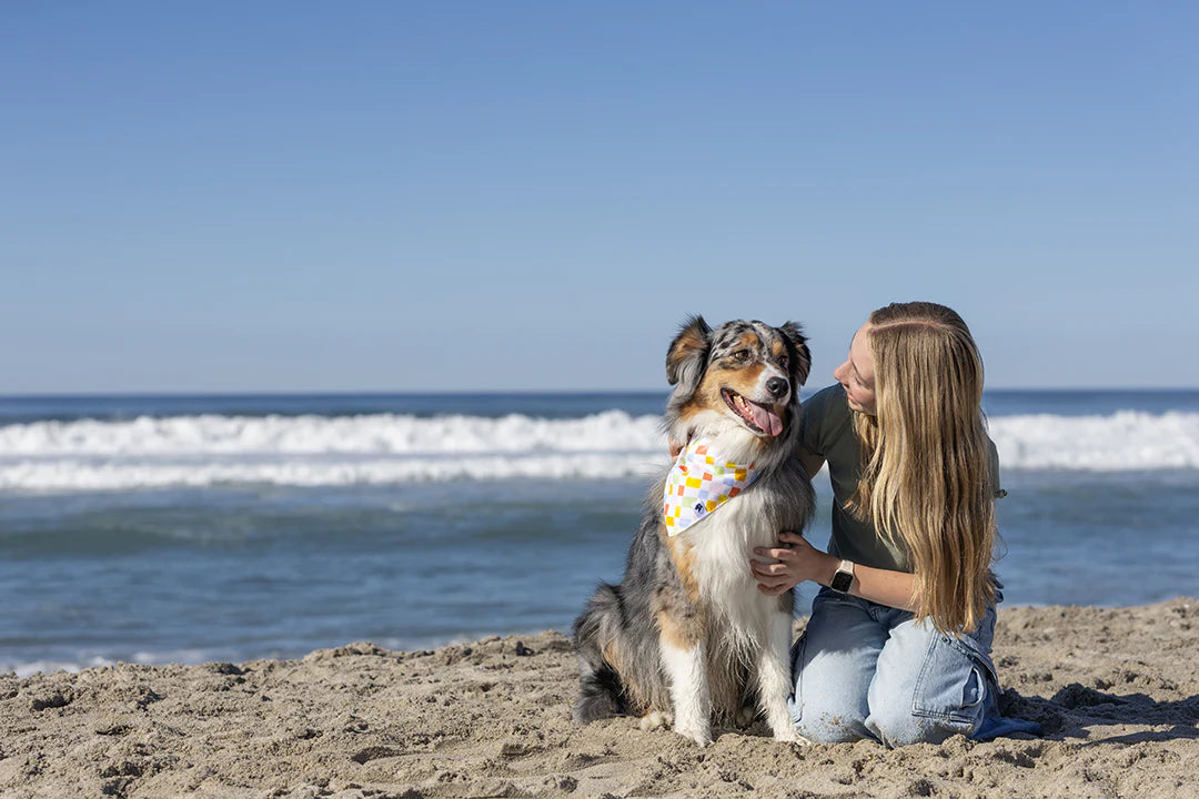 Dog Bandana Co. Popsicle Dog Bandana Tie & Snap