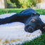 HuggleHounds HuggleFleece Mat Natural, Cat & Dog Bed