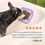 Woof Dog Calming Support Lickwells, Dog Supplement, 12-oz Pouch