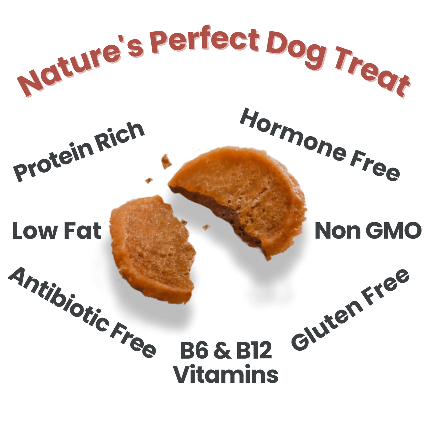 Farm To Pet Single Ingredient Chicken Chips, Dog Treat