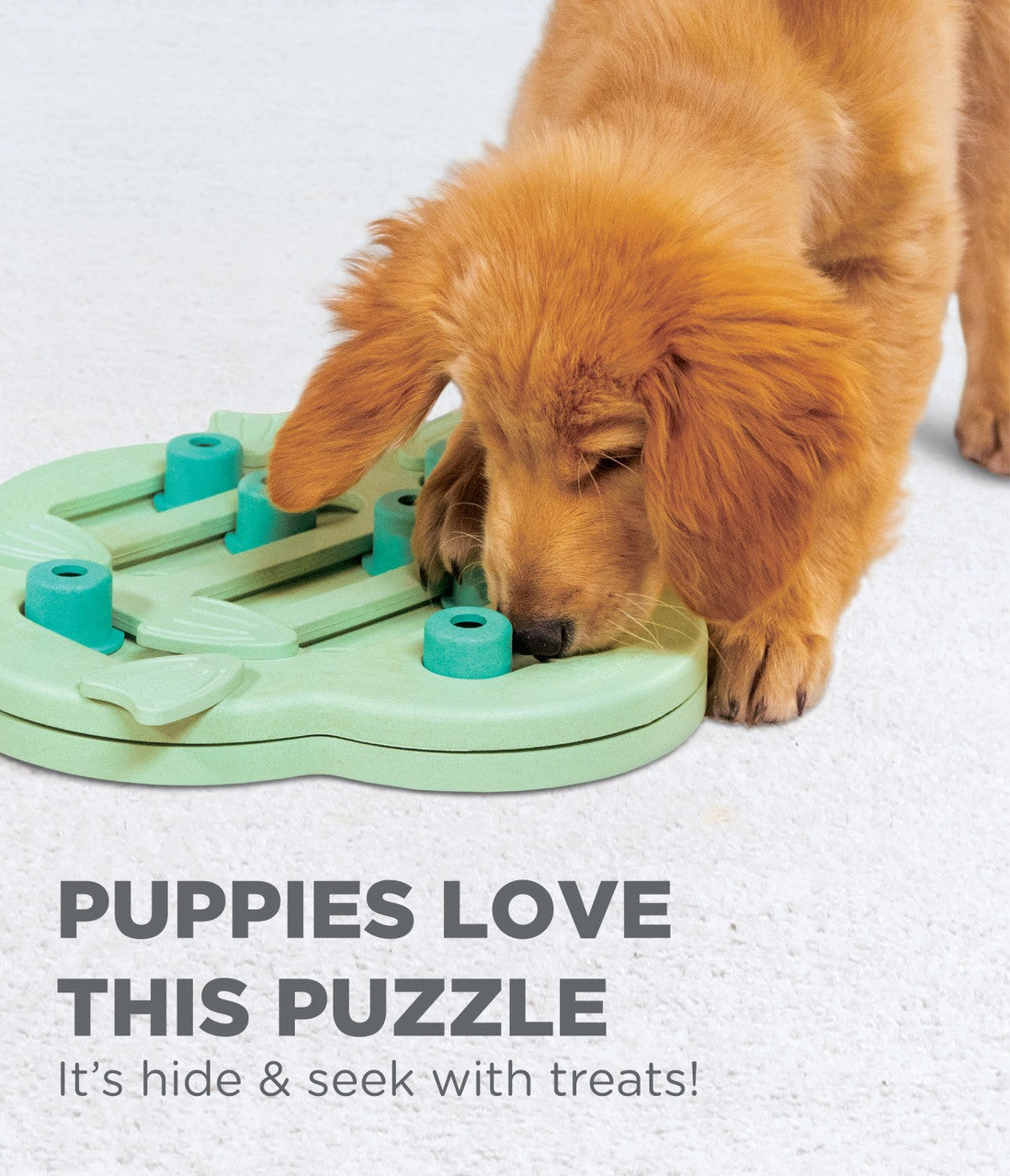 Outward Hound Hide N' Slide Interactive Treat Puzzle For Dogs