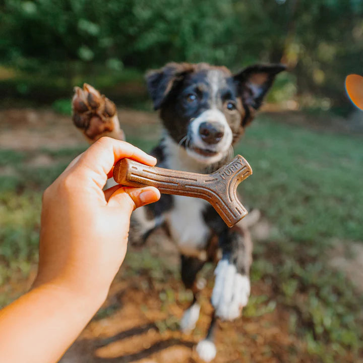 Benebone Small Puppy Maplewood Stick, Dog Toy