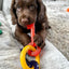 Nylabone Puppy Bacon Teething Keys, Dog Toy