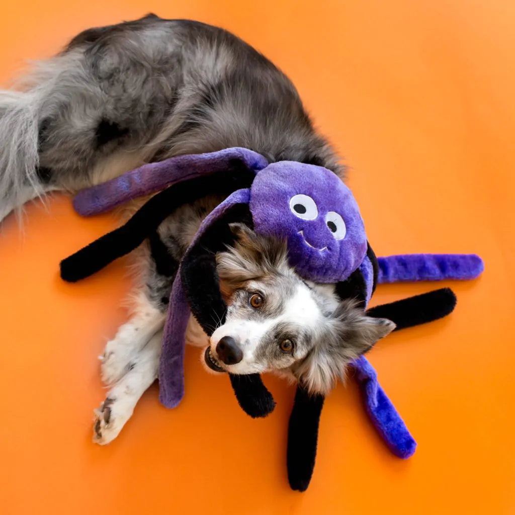Zippy Paws Halloween Grunterz Spider, Dog Toy