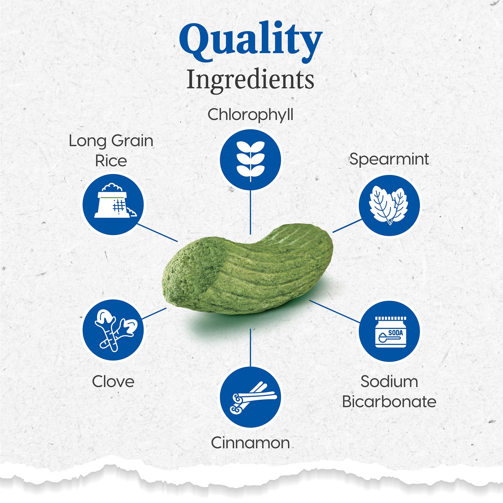 Gray muzzle brushless sales toothpaste