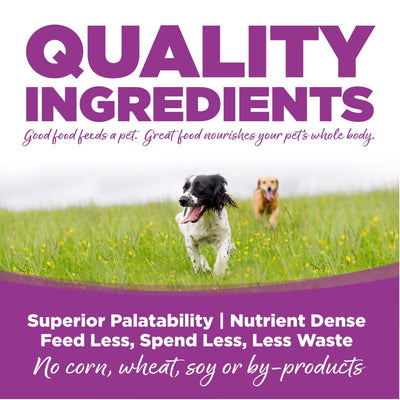 Nutrisource Large Breed Puppy Chicken and Rice Recipe, Dry Dog Food