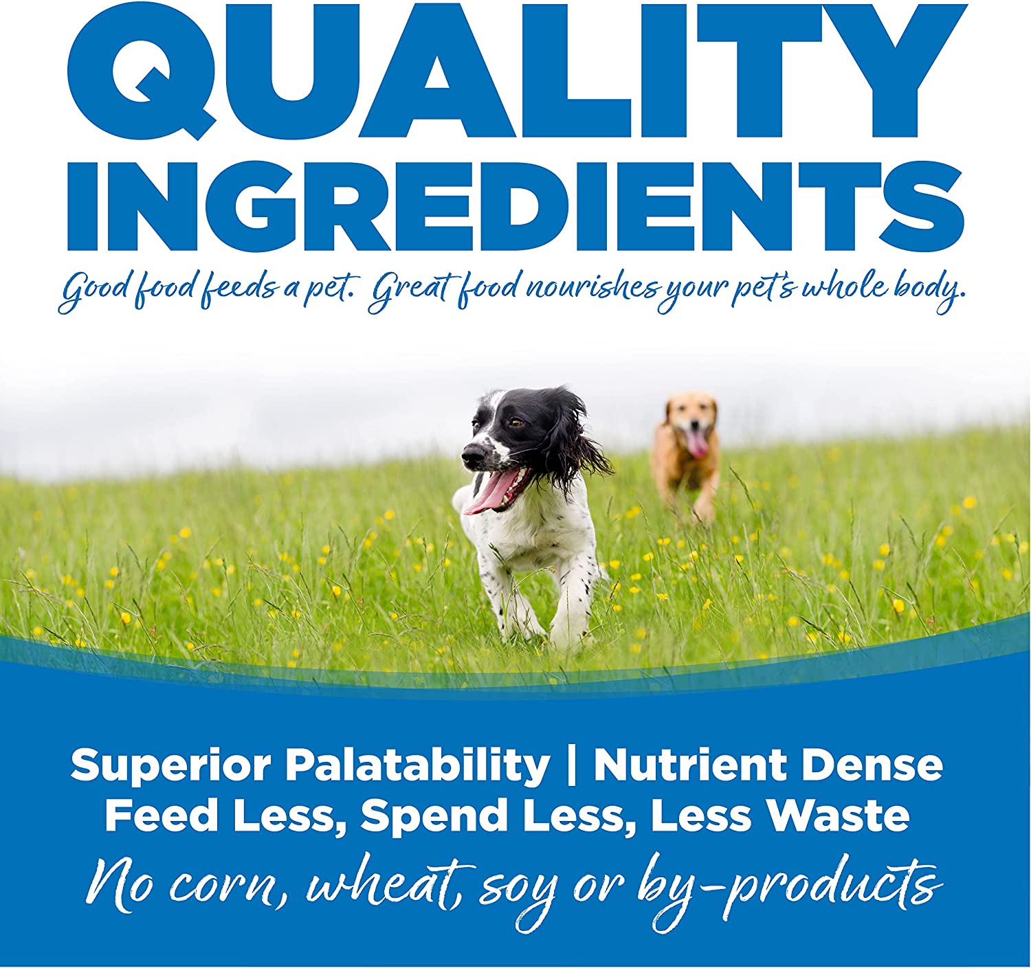 Nutrisource large breed grain free best sale