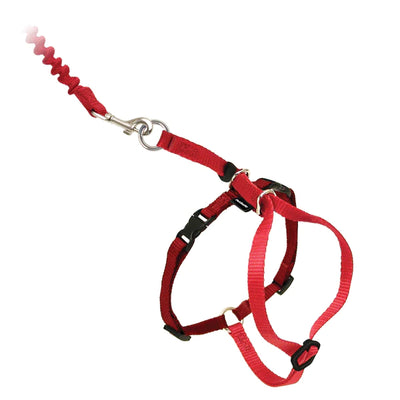 PetSafe Come With Me Kitty™ Cat Harness & Bungee Leash