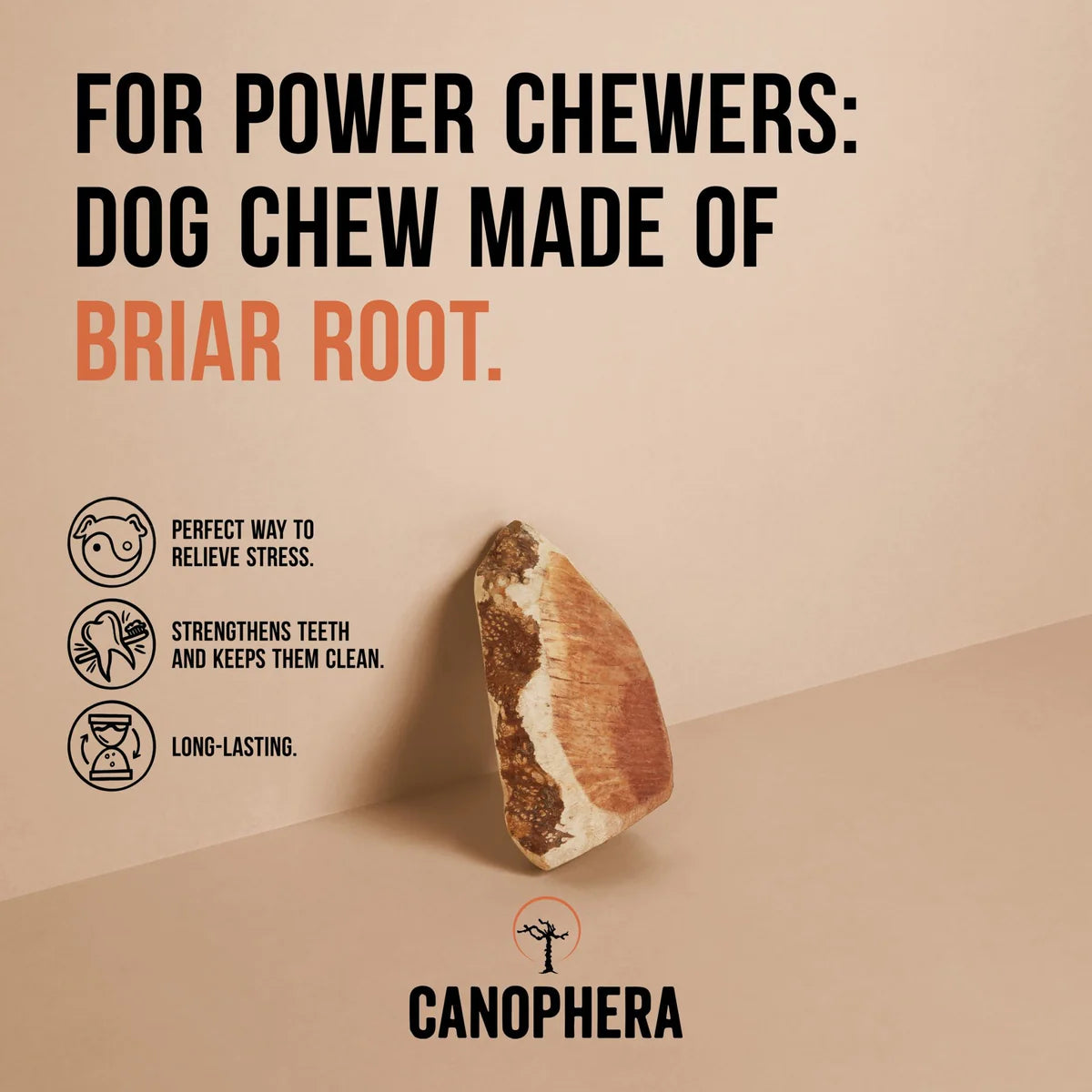 Canophera Briar Root, Dog Chew
