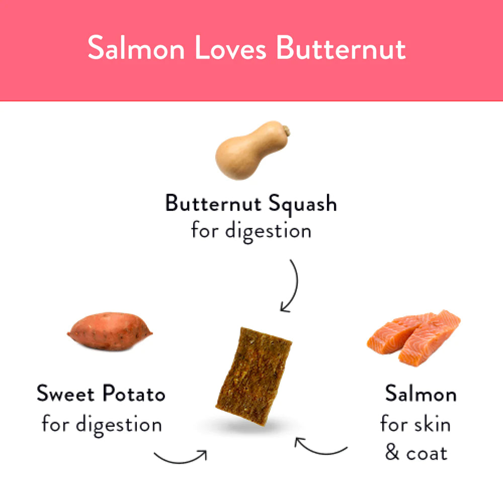 Shameless Pets Salmon Loves Butternut Jerky Bites 5-oz, Dog Treat
