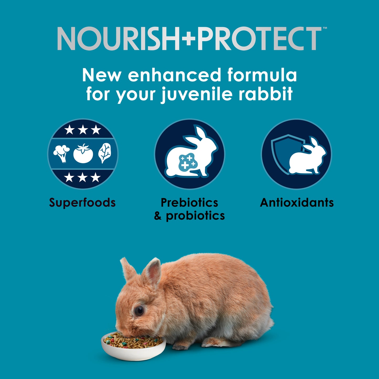 Kaytee Forti-Diet Pro Health 3-lb, Juvenile Rabbit Food