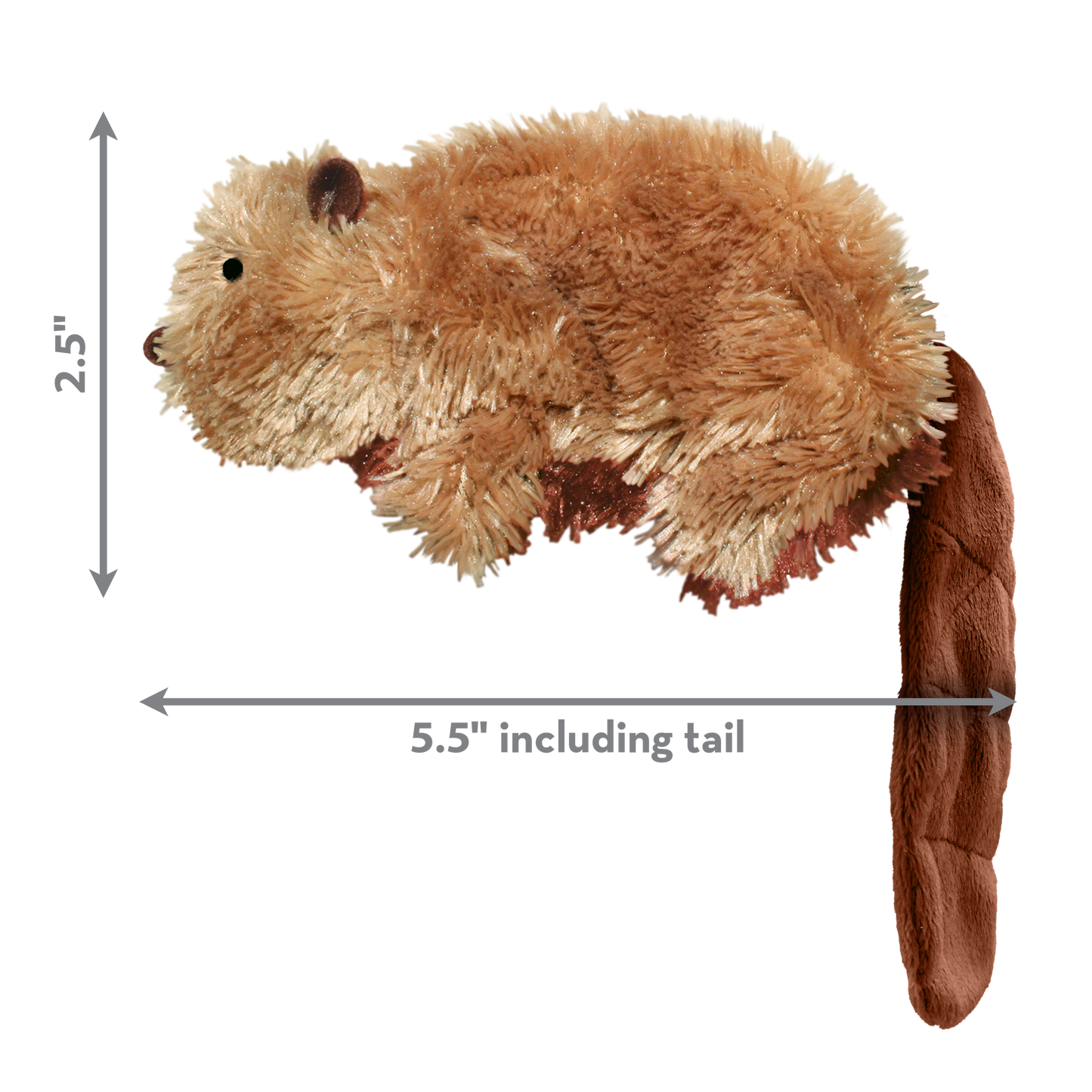 Kong Small Dr.Noyz Beaver Dog Toy Anaheim Feed Pet Supply