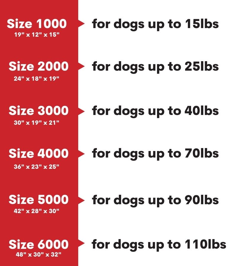 30 x 19 outlet x 21 dog crate