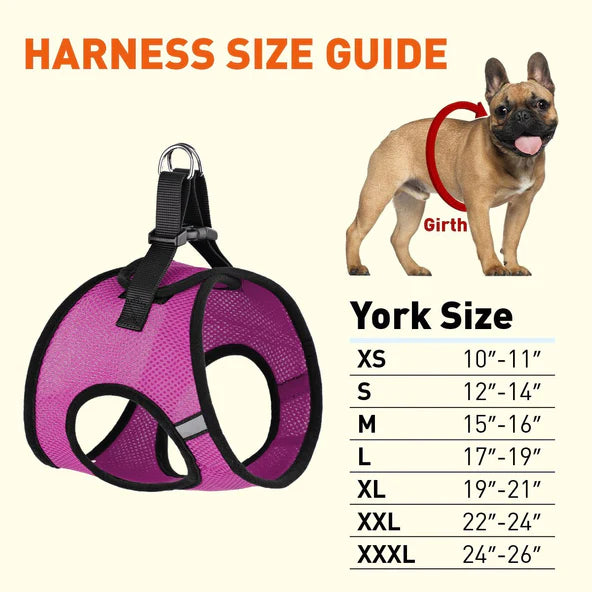 Dogline York Mesh, Dog Harness