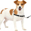 PetSafe Easy Walk® Harness, No Pull, Dog Harness