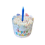 Preppy Puppy Gourmet Dog Treat, Birthday Cupcake