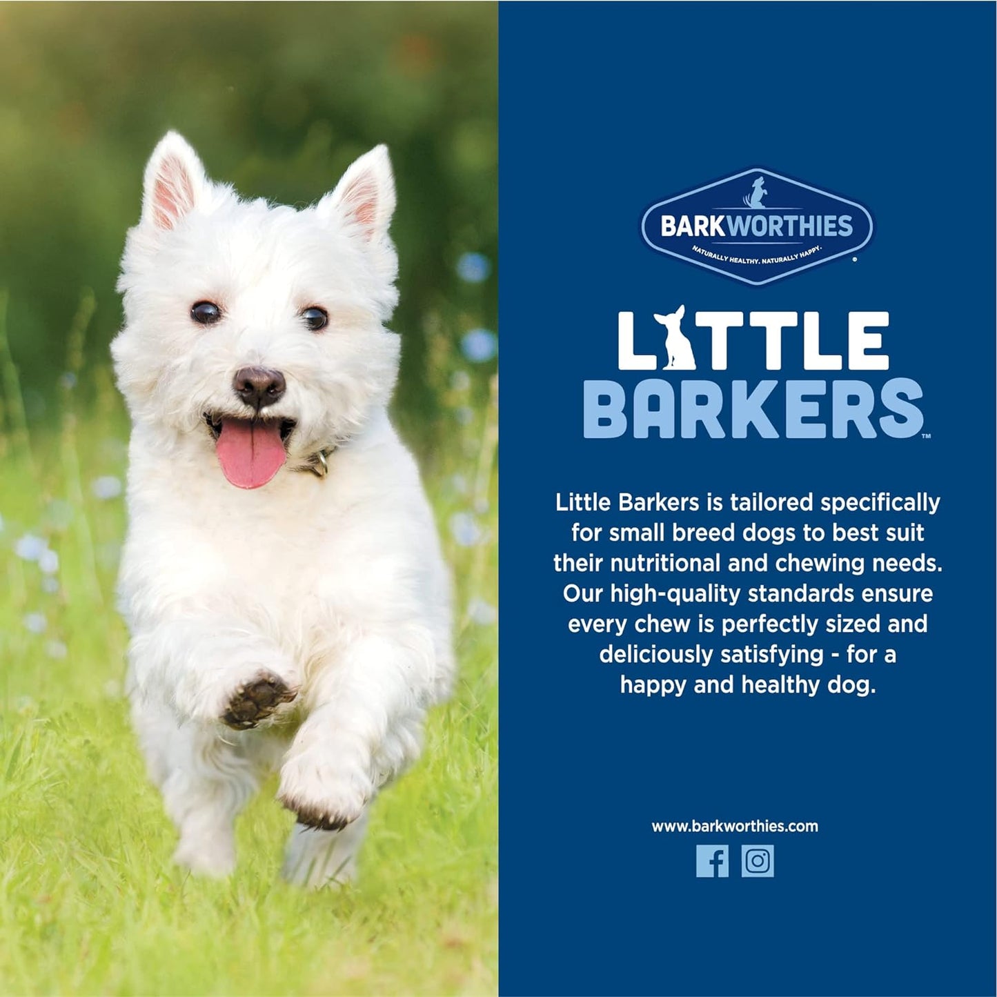 Barkworthies Little Barkers Odor Free 4-Inch Bully Stick 4-oz, Dog Chew