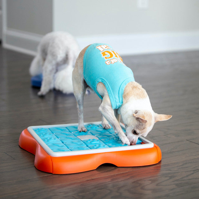 Outward Hound Challenge Slider Interactive Treat Puzzle For Dogs