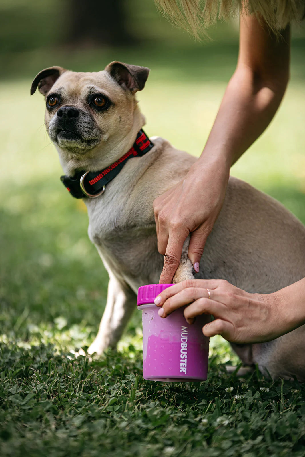 Dexas MudBuster Portable Paw Cleaner