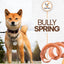 Raw Dog Bully Spring, Dog Chew